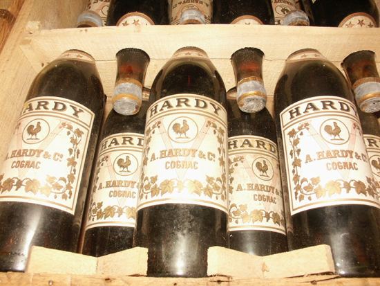 Bottles of cognac
